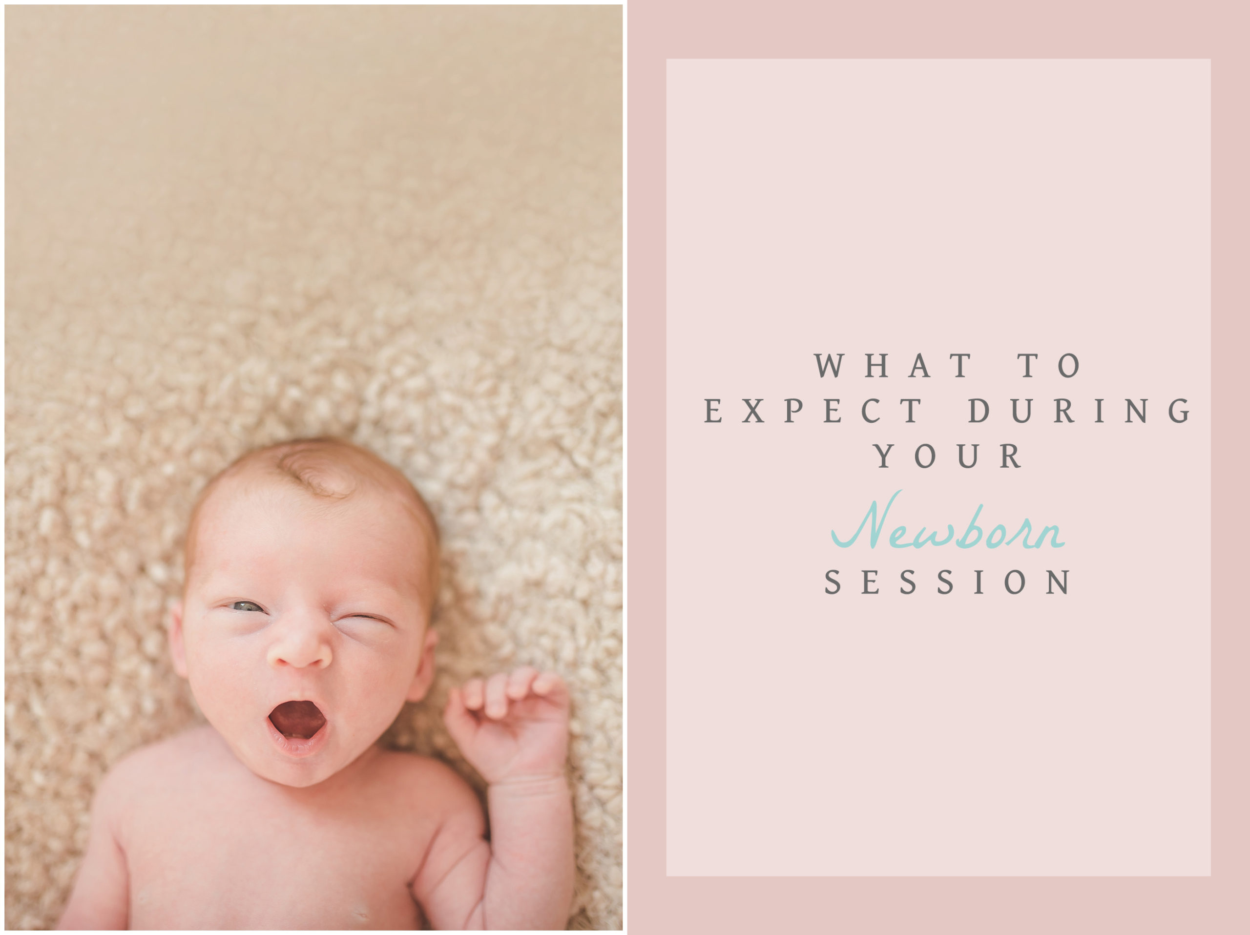 what to expect during your newborn session